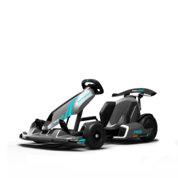 Segway GoKart Product Line