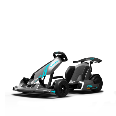 Segway eKickScooter Products Line